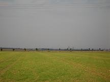 DSC00270