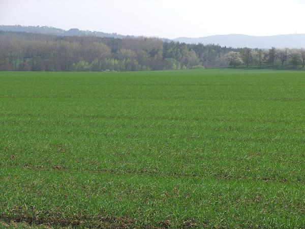 Durum 250410