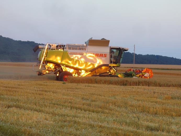 MD in Abendsonne MD in Abendsonne