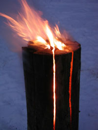 Schwedenfackel