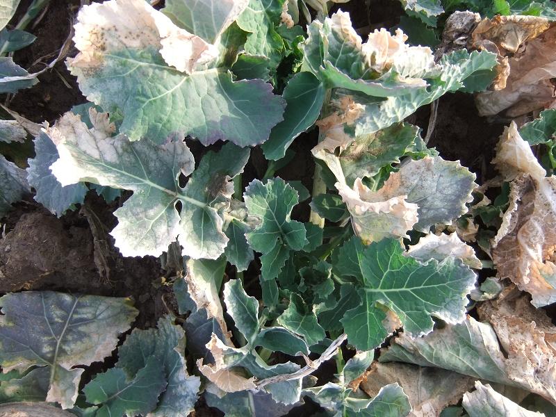 nach Winter03